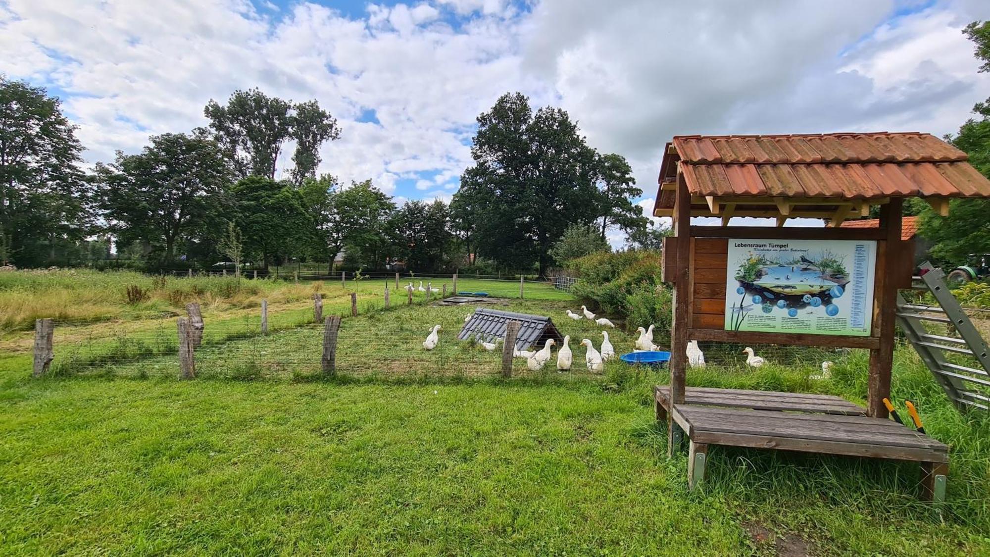 Naturhof Buschwiesen - Wohnung Lama Wilsum Exterior photo